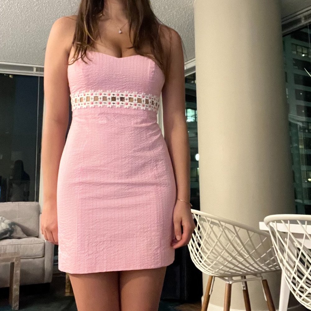 Lilly Pulitzer Stripe and Flower Dress